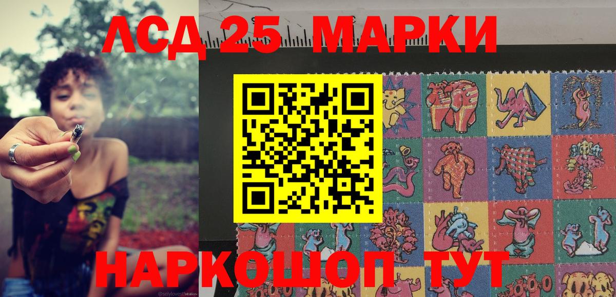 Губкинский  Марки N-bome 1500мкг  Марки NBOMe  Вход с VPN 